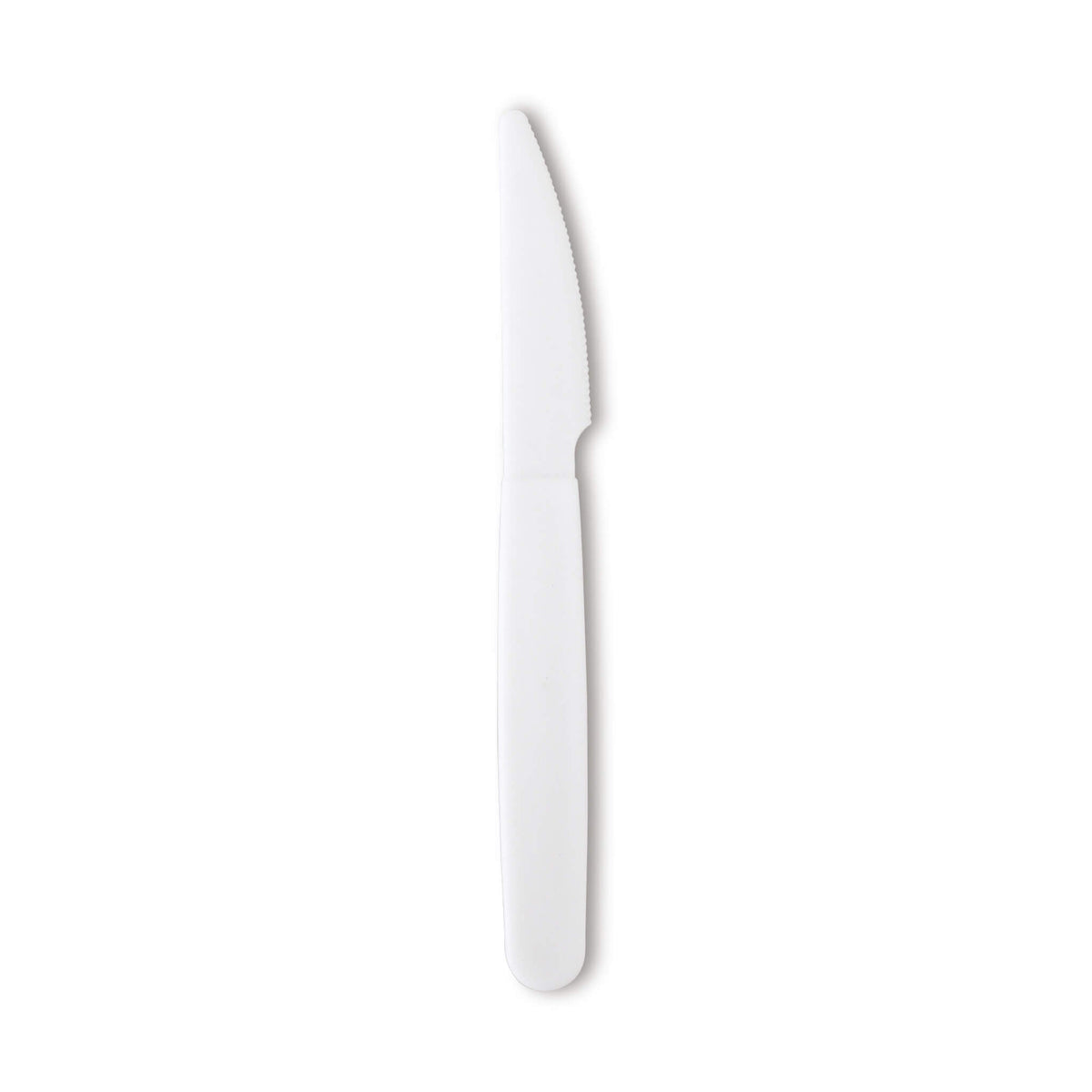 Reusable plastic knife from 30-piece picnic box set.